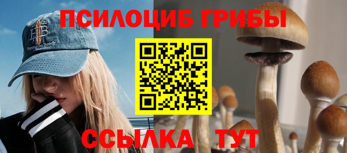 Псилоцибиновые грибы MAGIC MUSHROOMS  Вход с VPN  Лабинск  Галлюциногенные грибы Psilocybe 